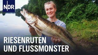 Mit Riesenruten an der Weser angeln | Rute raus, der Spaß beginnt! | NDR Doku