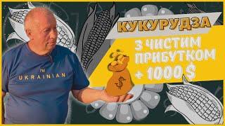 Кукурудза | З чистим прибутком  +1000 $ |