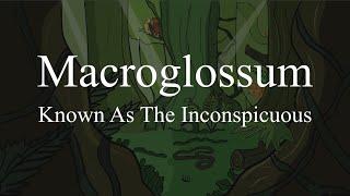 Known As The Inconspicuous - Macroglossum (Official Video)