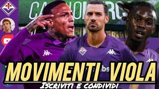 FIORENTINA | FOLORUNSHO ARRIVA OGGI , ASSE FIRENZE MONZA , MARÌ E BONDO IN VIOLA