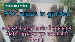 Plants in PVC pipes इस तरह पुराने,टूटेPVC पाइपों का उपयोग कर सकते हैं Reuse PVC pipes in gardening