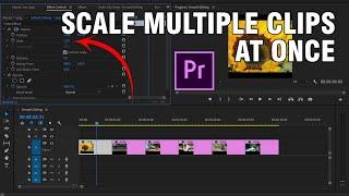 How To Scale Multiple Clips At Once - Adobe Premiere Pro