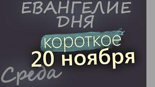 20 ноября, Среда. Евангелие дня 2024 короткое!