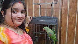 mona ne aj kiya kuch aesa hi use padi bahot maar or sona hua khus #sonaliparrot #talkingparot #