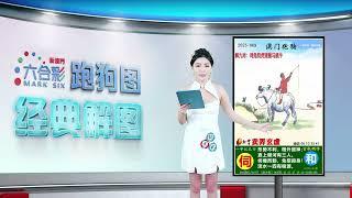 第069期 --【新澳门跑狗图】白小姐解图，助你轻松中奖！#新澳门六合彩 #澳门六合彩 #香港六合彩 #六合彩 #跑狗图 #六合图纸视频解料 #白小姐 #澳门 #经典解图 #marksix #特码