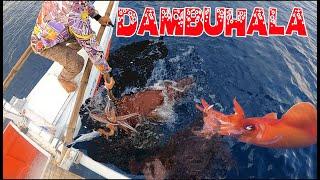 GRABE BUMUGA, UMITIM ANG DAGAT, GIANT SQUID IS SOMETHING| CATCHING GIANT SQUID DAY 1