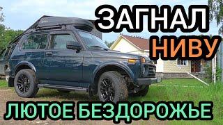 Показываю на что способны шины Viatti Bosco AT (лес, грязь, вода, гравийка, асфальт - было всё!)