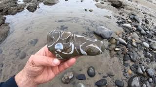 Rockhounding the Oregon coast