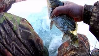 Зимняя рыбалка в Саратовской области. Лебедёвское водохранилище. Ловим карася.