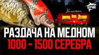 Две точки и новая сборка: 1000+ серебра в час на Медном ● Русская рыбалка 4 ● Перчик РР4