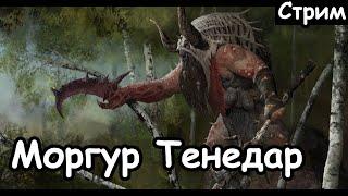 Моргур Тенедар. Зверолюди. (Легенда.) ч.1 Total War: Warhammer 2.