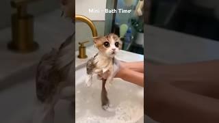 Bath Time #cat #kitten #cute #catvideos #catshorts