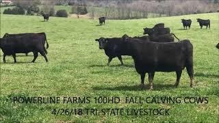 POWERLINE FARMS- COW SALE 4/26/18