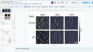 Tau Aggregation is Altered by Variations in its Projection Domain