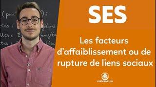 Les facteurs d'affaiblissement ou de rupture de liens sociaux - SES - 1re - Les Bons Profs