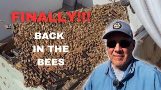 Winter Beekeeping Tasks | Preventing Starvation and Treating for Mites