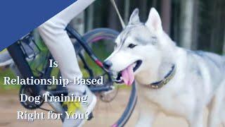 What is Relationship Based Dog Training? │ Dog Training for Owners, Real World Dog Training