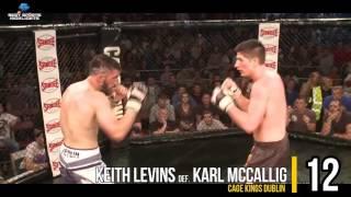 TOP 30 MMA Knockouts 2015