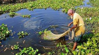 Best Cast Net Fishing Video - Net Fishing New Video - Traditional Net Fishing Videos