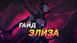 КАК ИГРАЮТ МАСТЕРА ЗА ЭЛИЗУ ◾ Элиза vs БелВет ◾ Гайд на Элизу [Elise] ◾ Лига Легенд