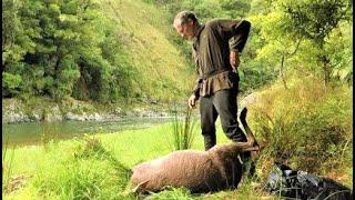 Hunting for Deer in the northern Urewera's