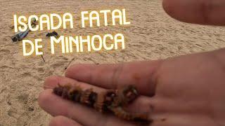 Surfcasting | Iscada Fatal de MINHOCA!