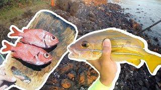 Catch and Cook Hawaii / Eel Stole A Fish Out Of My Hand / S3.E1.P2