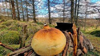  Amazing Recipe Polish sour rye soup served in bread ,, ŻUREK", cooked in nature ASMR cooking 