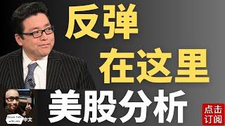 黄金坑在这里! 最新的Tom Lee预期点位 英伟达缺口补齐要反弹？特斯拉强于大盘! | Jay金融财经分析