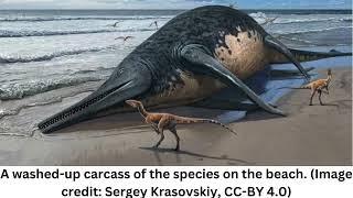 Giant, 82-foot lizard fish discovered on UK beach could be largest marine reptile ever found