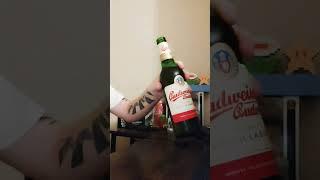 @Irishguydrinks...BUDWEISER BUDVAR.#beer #review #czech #ireland #music#shorts #reels#fun #hiphop