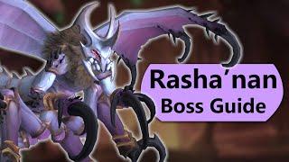 Rasha'nan Raid Guide - Normal and Heroic Rashanan Nerub-ar Palace Boss Guide