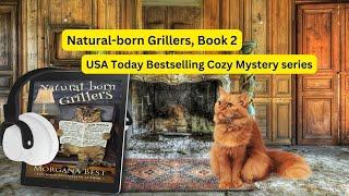 FREE FULL AUDIOBOOK. Book 2 of the cozy mystery series, Australian Amateur Sleuth.