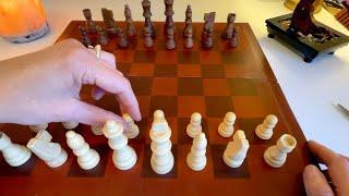 How to Play Chess from a Non-Expert ~ ASMR Soft Spoken