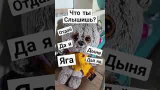 что ты слышишь? #басики #басик #shorts