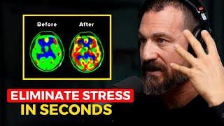Neuroscientist: You Will NEVER Feel Stressed Again | Andrew Huberman