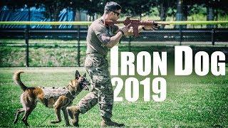 Iron Dog competition 2019