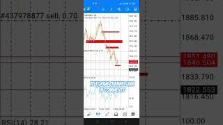 $12,000 GOLD Trading Sniper Strategies | Forex Signals Telegram Channel | XAUUSD Price Predictions