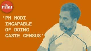 'PM Modi incapable of doing caste census' — Congress MP Rahul Gandhi's attack