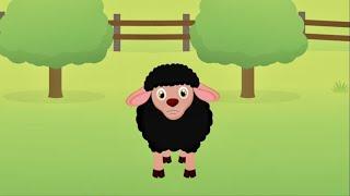 Baa Baa Black Sheep + More Nursery Rhymes & Kids Songs  - Rovskysound - Music Videos for Children