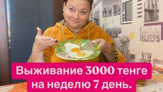 Выживание 3000 тенге на неделю. 7 день. Эксперимент в Казахстане. 31 .10.2024г