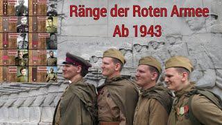 Ränge (ab 1943) der Roten Armee, vom Rotarmisten bis zum Hauptmann