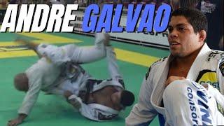 Andre Galvao Jiu jitsu Match | Worlds 2005