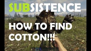 Subsistence how to find cotton