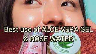 Best Use Of Aloe Vera Gel & Rose Water for Skin