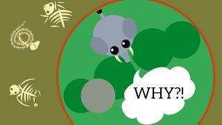 Mope.io New Three Game Modes! Elephant Stuck In Battle Royale // New Mope.io Update