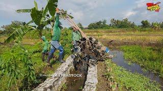 Sempat Nyangkut!! 2 Joki Muda Pindahkan Traktor Sawah Lompati Irigasi