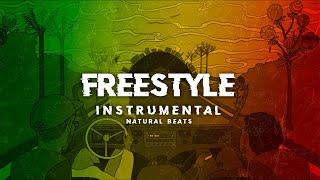 PISTA DE RAP - FREESTYLE 17 - INSTRUMENTAL DE HIP HOP PARA IMPROVISAR - NATURAL BEATS