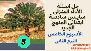 حل اسئلة الاداء المنزلى ساينس سادسة ابتدائي المنهج الجديد الأسبوع الخامس الترم الثاني Term 2