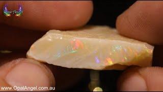 62.5CT Lambina Rough Opal